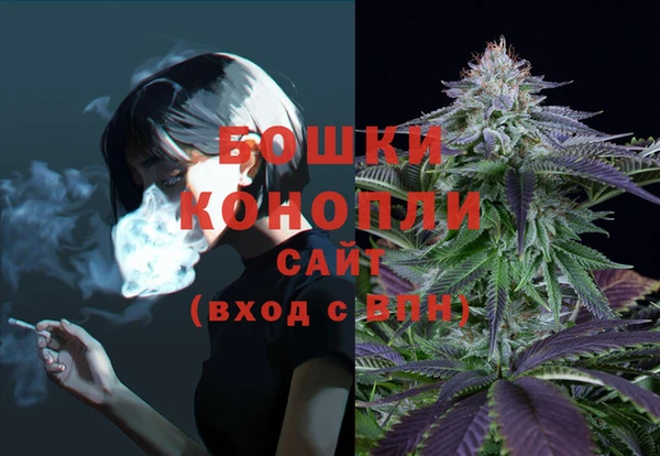 соль ск Дмитровск