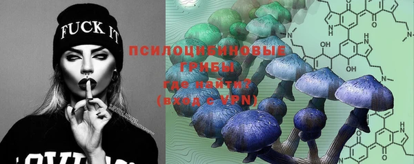 бошки Гусиноозёрск