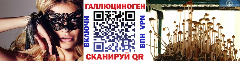 Псилоцибиновые грибы GOLDEN TEACHER  Купить закладки  Стрежевой 